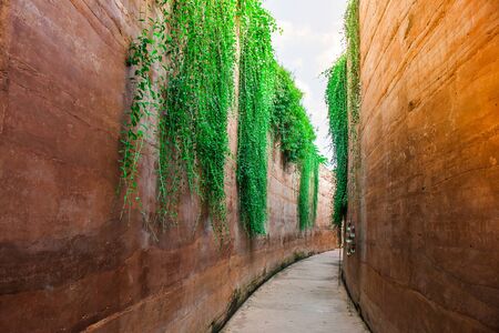 Concrete walkway beside brown clay wall at public garden. (Vintage filter effect)の写真素材