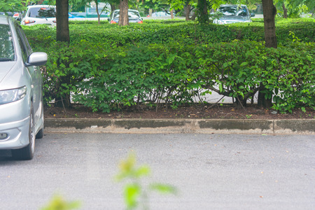 Empty space in parking lot at public park with green bush background.の写真素材
