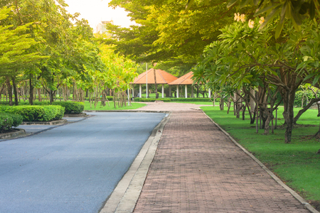 Beautiful view pathway or walkway in the park with green natural and sunlight background. (Autumn filter effect)の写真素材