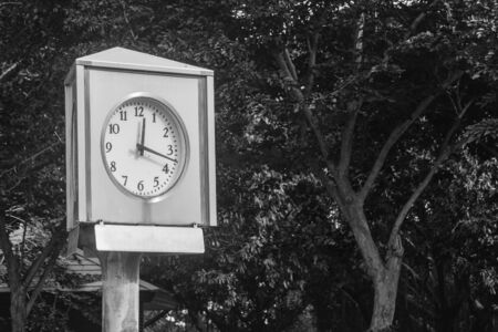 Time Management Concept : Clock tower in public park. (Black and White filter effect)の写真素材