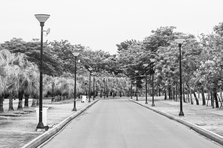 View of empty road flanked with street lamp and green natural background. (Black and White filter effect)の写真素材