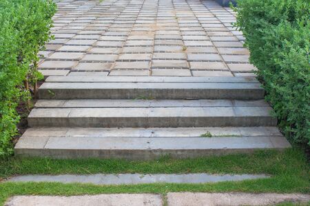 Little concrete stair or walking path on green grass beside green bush.の写真素材