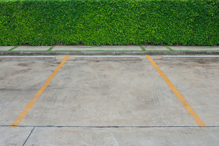 Empty space in car parking lot at outdoor park with green bush background.の写真素材