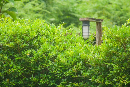 Vintage lamp hanging on wooden rails at outdoor garden surrounded with green trees. (Vintage filter effect)の写真素材