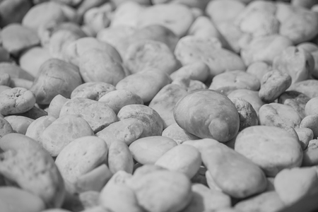 Close up small white rocks for garden decoration. (Black and White filter effect)の写真素材