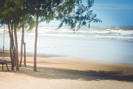 Wooden chair and pine tree on the beach with sea and blue sky background. (Autumn filter effect)の写真素材