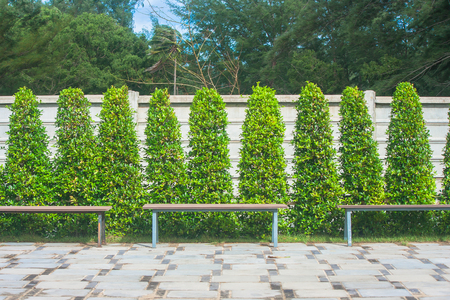 Wooden long chair in outdoor garden at the resort.の写真素材