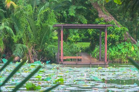 Wooden pavilion locate nearly the lake at public park.の写真素材