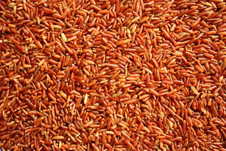 red rice の写真素材