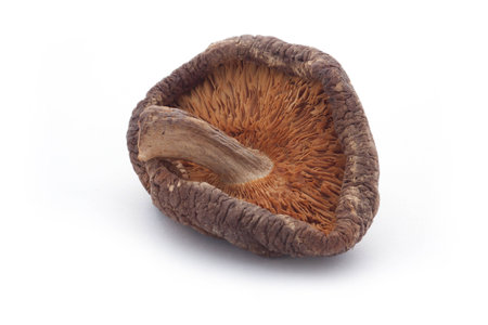 Dried Shiitake Mushroomsの写真素材