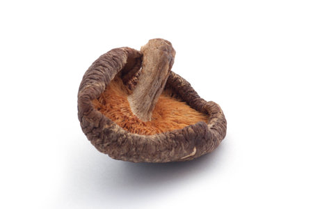 Dried Shiitake Mushroomsの写真素材