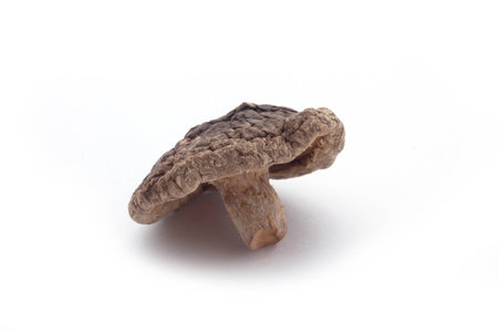 Dried Shiitake Mushroomsの写真素材
