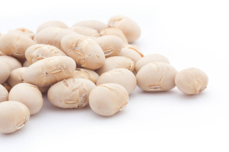soy beansの写真素材