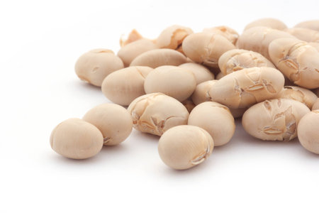 soy beansの写真素材