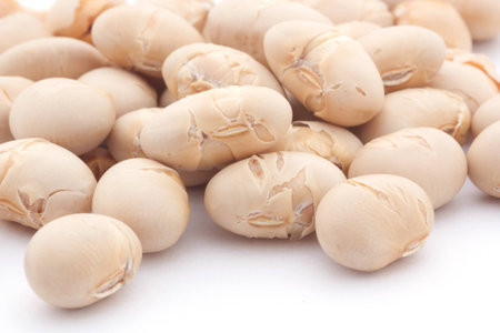 soy beansの写真素材