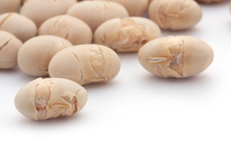 soy beansの写真素材