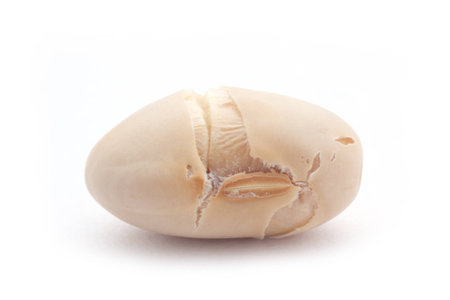Closeup of soy beans on white background.の写真素材