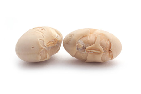 Closeup of soy beans on white background.の写真素材