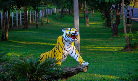 animalの写真素材