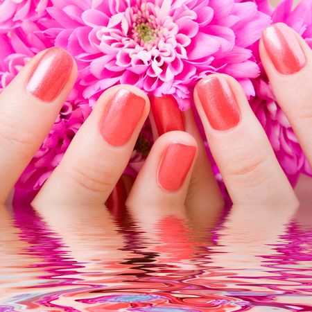 care for beautiful woman hands
の写真素材