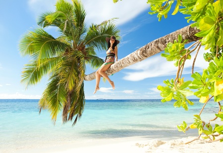 Fashion woman siting upon palm tree on the beachの写真素材