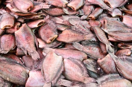 Dried fish in thailand marketの写真素材