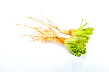 Celery roots isolated on white backgroundの写真素材