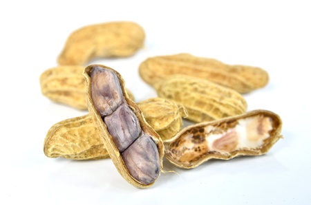 Boiled peanuts in closeup isolated on white background