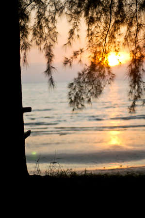Tropical beach at sunset timeの写真素材