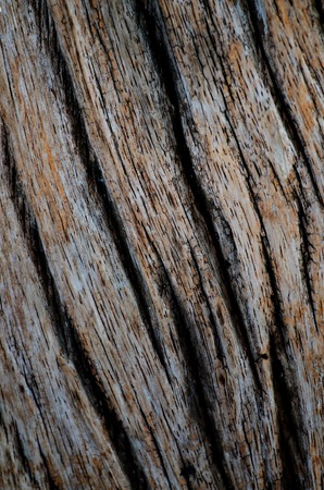 Dark Wood texture. Abstract backgroundの写真素材