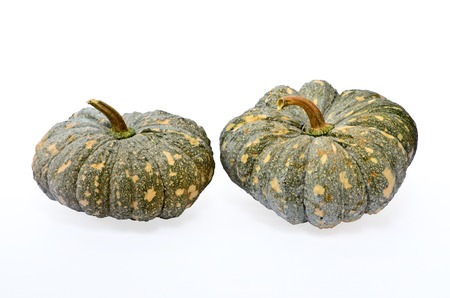 green pumpkin fruit on white backgroundの写真素材