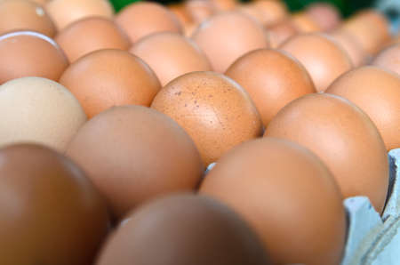 Egg is row on packagingの写真素材