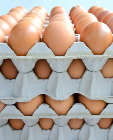 Fresh eggs in a eggs box stack photoの写真素材