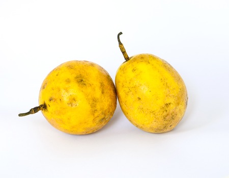 Jamaica honey-suckle, Passion fruit, Yellow granadilla. (Passiflora laurifolia L.).の写真素材