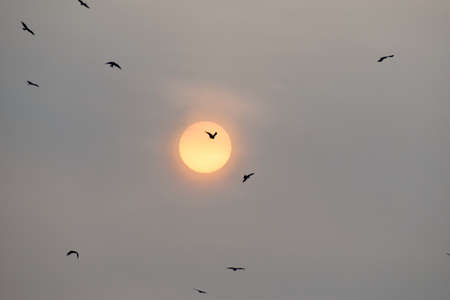 Beautiful dramatic and colorful sky at sunriseの写真素材