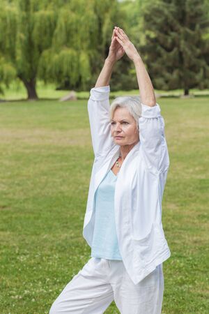best ager women practising yoga and tai chi outdoorsの写真素材