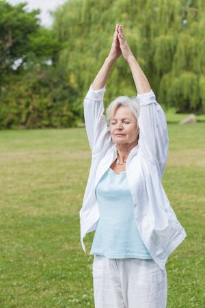 best ager women practising yoga and tai chi outdoorsの写真素材