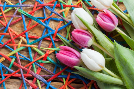 purple tulip spring concept on vintage tray and wooden tableの写真素材