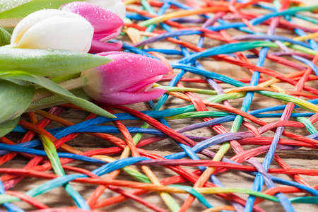 purple tulip spring concept on vintage tray and wooden tableの写真素材