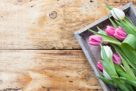 purple tulip spring concept on vintage tray and wooden tableの写真素材