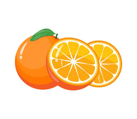 fresh orange fruit illustration vector drawingのイラスト素材