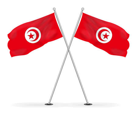 Bundle of Tunisian national flag vector imageのイラスト素材