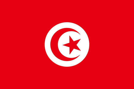 Bundle of Tunisian national flag vector imageのイラスト素材