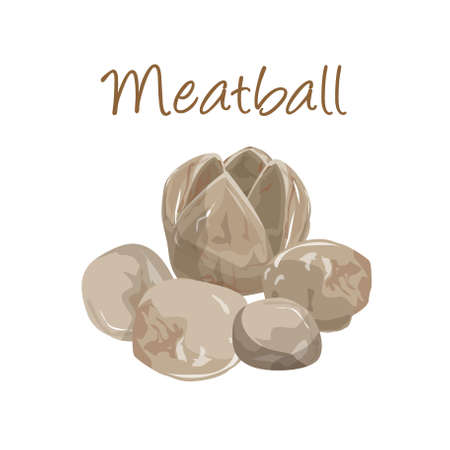 Indonesian Traditional Food Meatball Illustration Vector Imageのイラスト素材