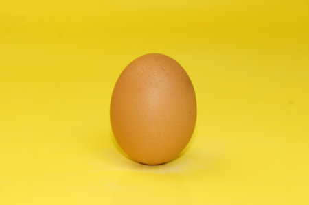 Close up photo of chicken eggs