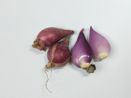 Shallot on a white background with copy space for text.の写真素材