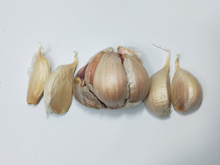Garlic isolated on white background. Garlic on white background.の写真素材