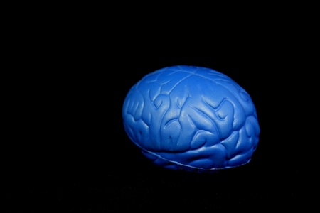 large brain