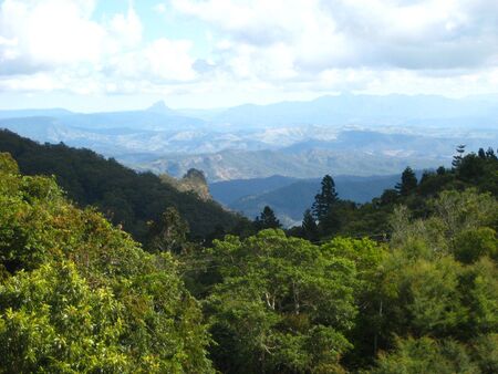view lamington national park