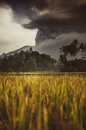 Series of photos from the eruption volcano Agung in Bali with beautiful views of the nature and rice...
